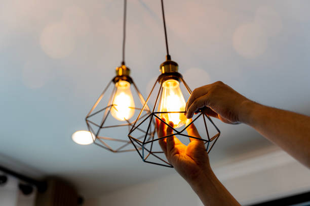 Best Residential Electrician Services  in Seneca, IL